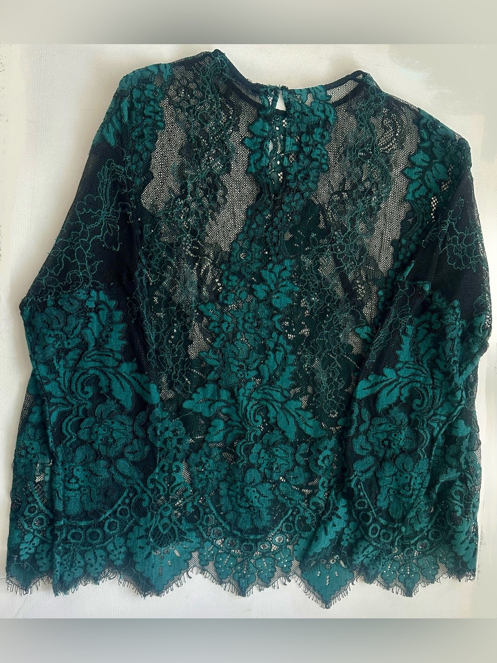 Zara women’s long sleeves Lace Blouse. a sheer mesh base overlayed. Size S.